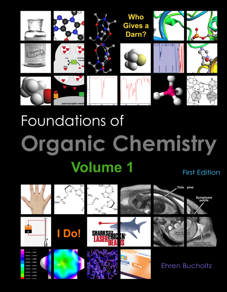 Foundations of Organic Chemistry, Volume 1